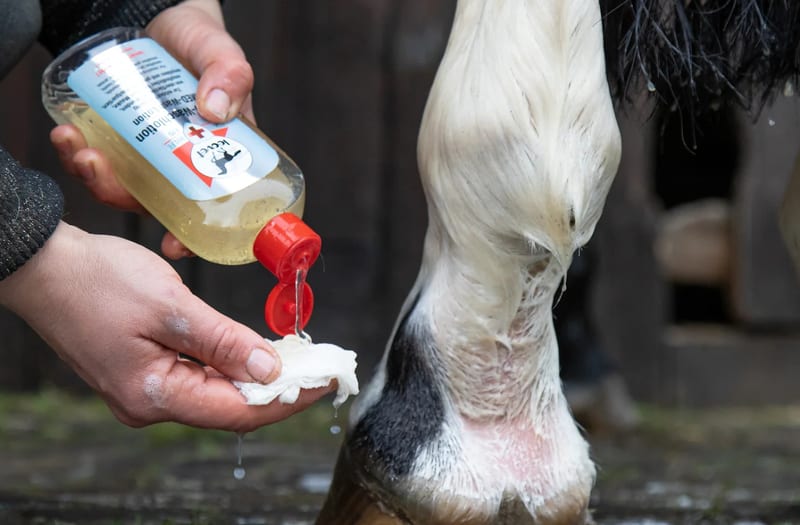 Leovet MED-Wash Lotion professional product photo ready to upload to shopify