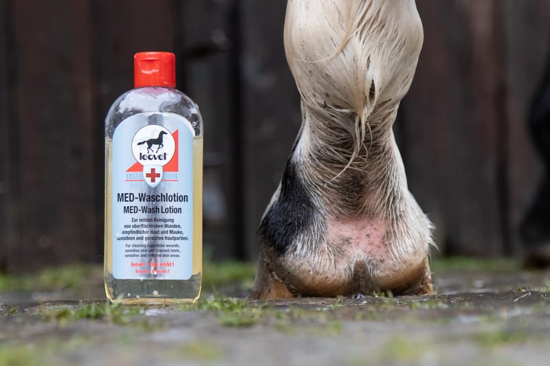 Leovet MED-Wash Lotion professional product photo ready to upload to shopify