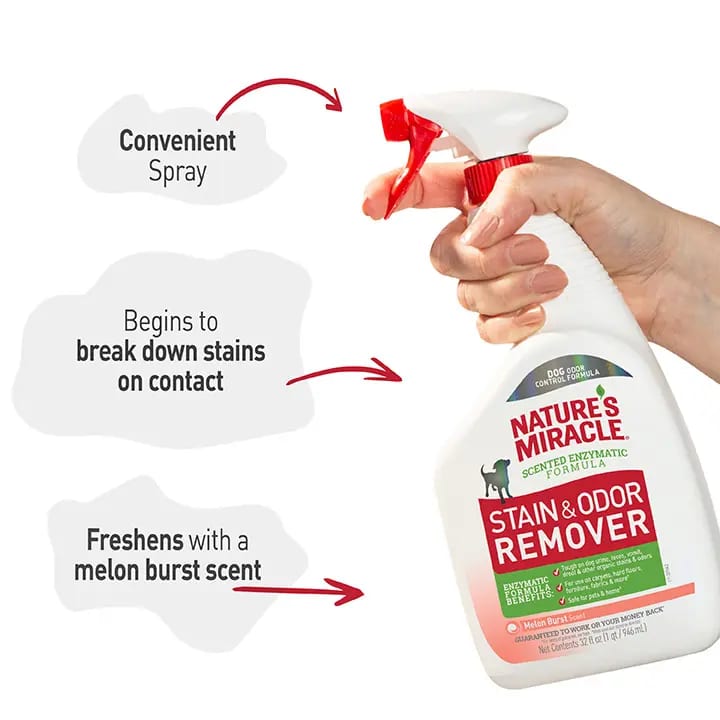 Nature's Miracle Dog Stain & Odor Remover Melon Burst Spray 32 oz professional product photo ready to upload to shopify