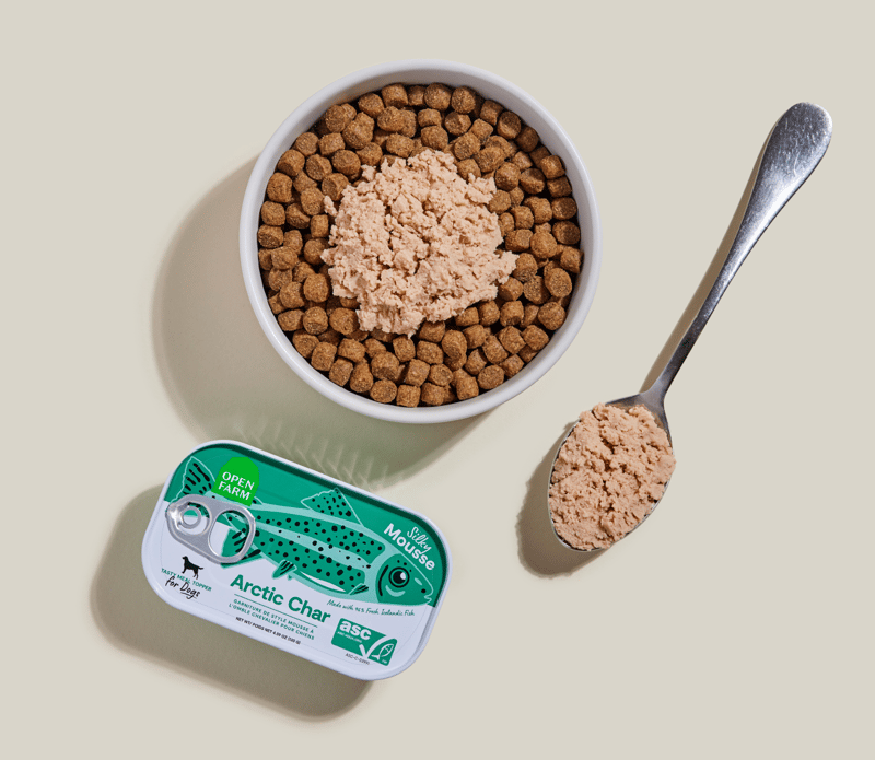 OPEN FARM Dog Arctic Char Grain-Free Topper 4.59 oz professional product photo ready to upload to shopify