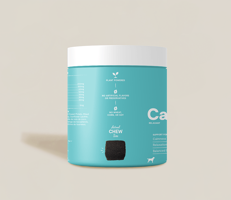 OPEN FARM DOG Calming Health Supplement Chews professional product photo ready to upload to shopify