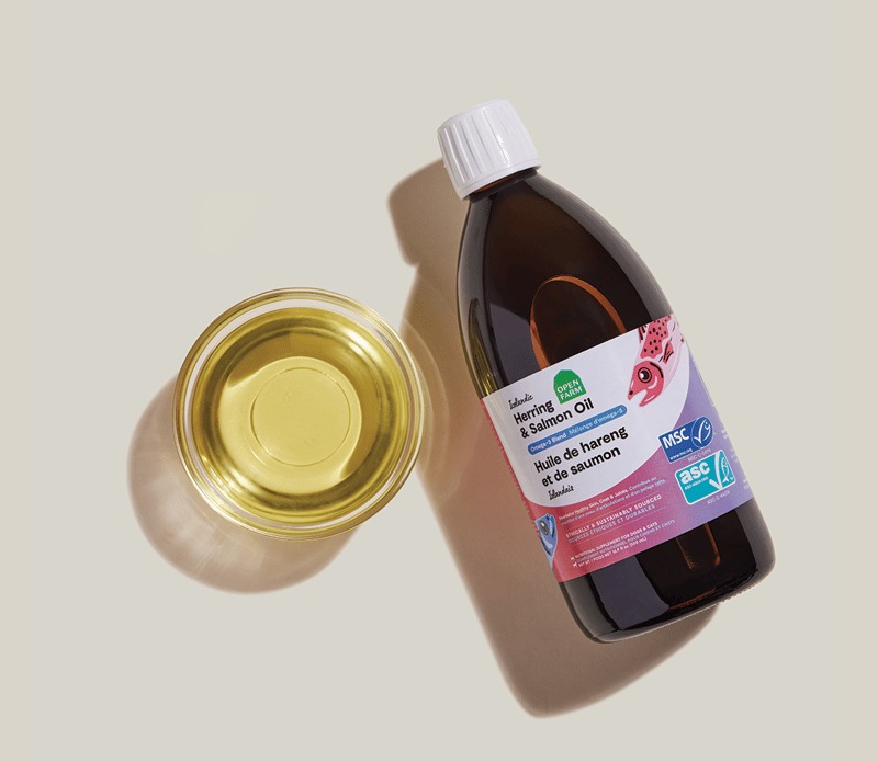 OPEN FARM Dog & Cat Icelandic Herring & Salmon Oil professional product photo ready to upload to shopify