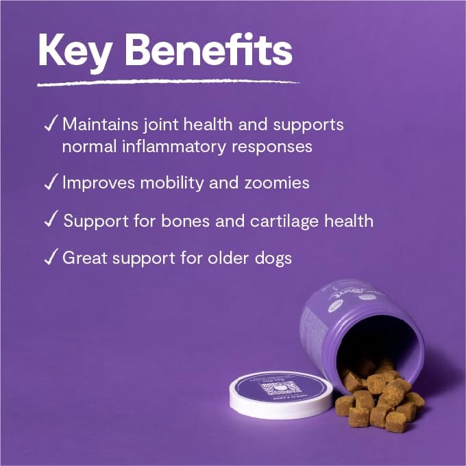 OPEN FARM Dog Hip & Joint Health Supplement Chews professional product photo ready to upload to shopify