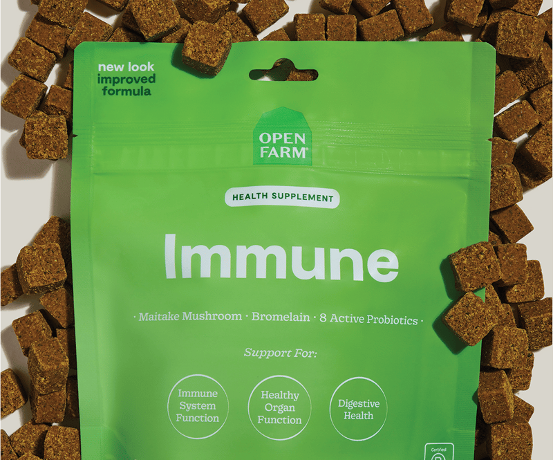OPEN FARM DOG Immune Health Supplement Chews professional product photo ready to upload to shopify
