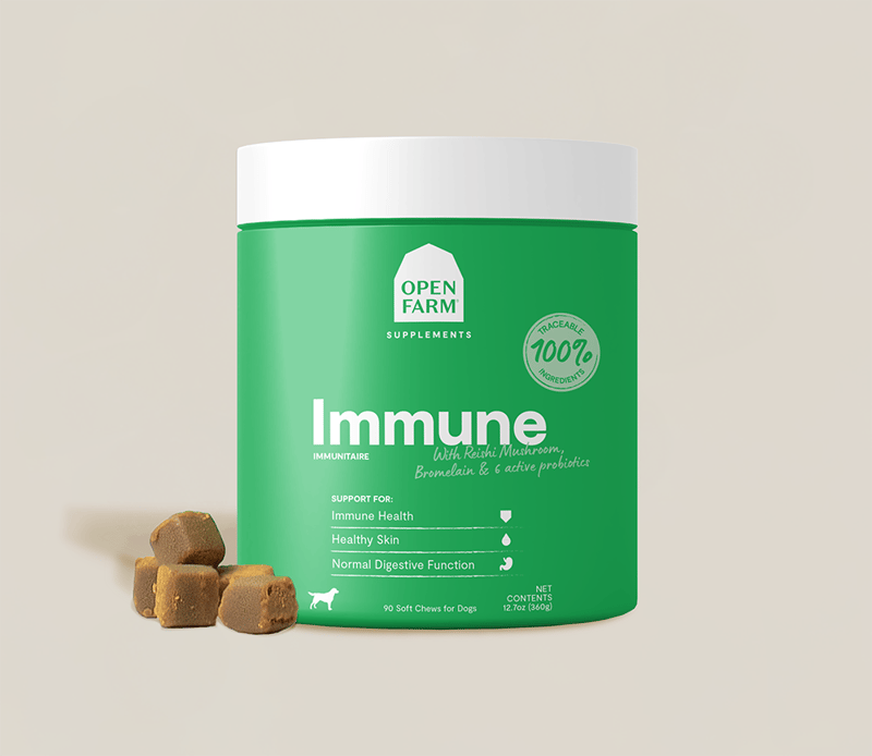 OPEN FARM DOG Immune Health Supplement Chews professional product photo ready to upload to shopify
