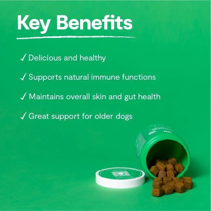 OPEN FARM DOG Immune Health Supplement Chews professional product photo ready to upload to shopify