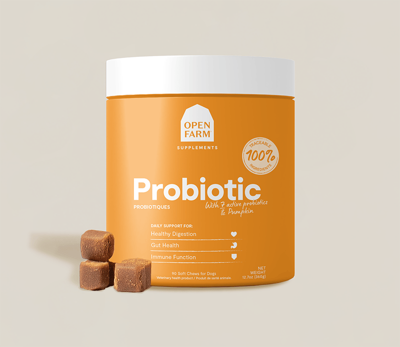 OPEN FARM DOG Probiotic Supplement Chews professional product photo ready to upload to shopify
