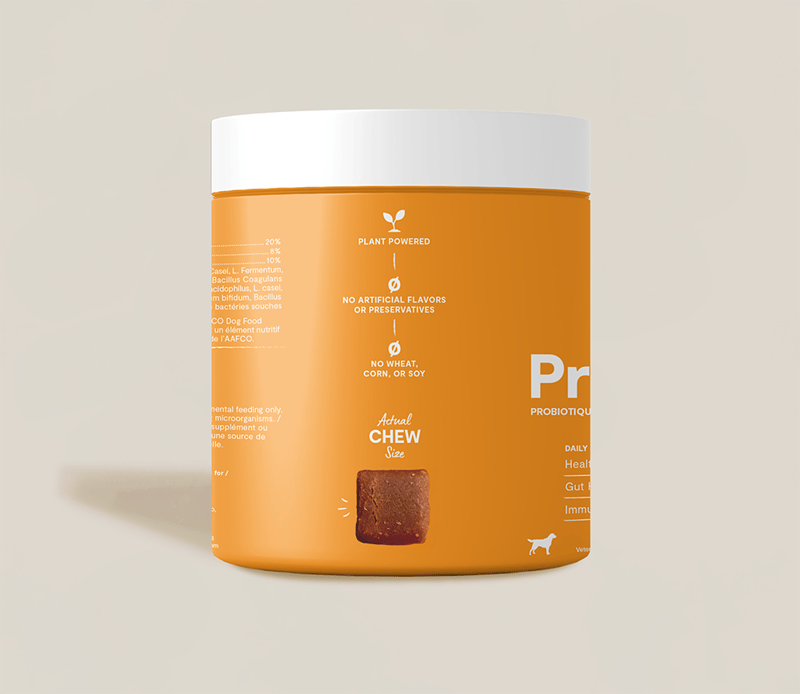 OPEN FARM DOG Probiotic Supplement Chews professional product photo ready to upload to shopify