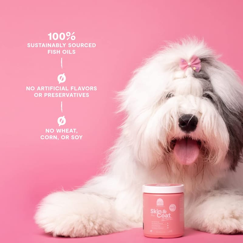 OPEN FARM DOG Skin and Coat Food Supplement Chew professional product photo ready to upload to shopify