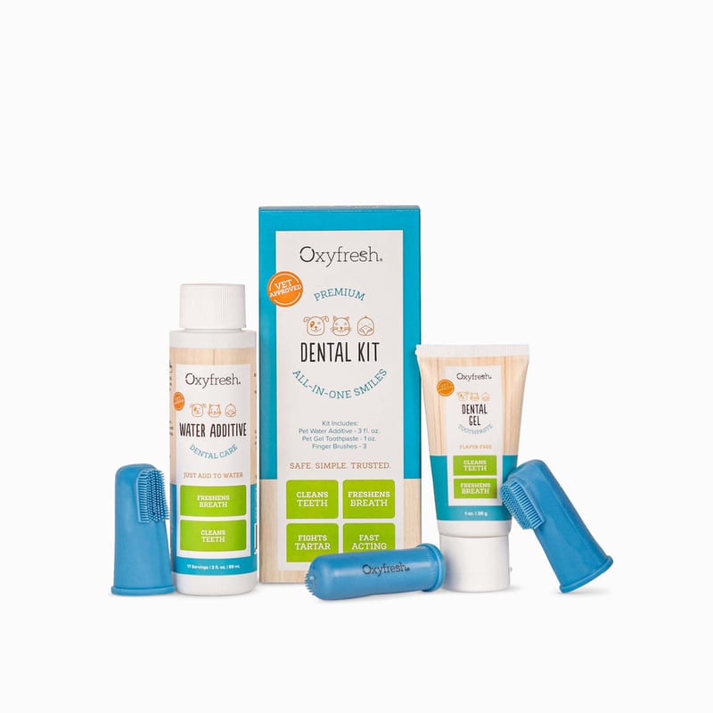 Oxyfresh Dental Kit Small professional product photo ready to upload to shopify