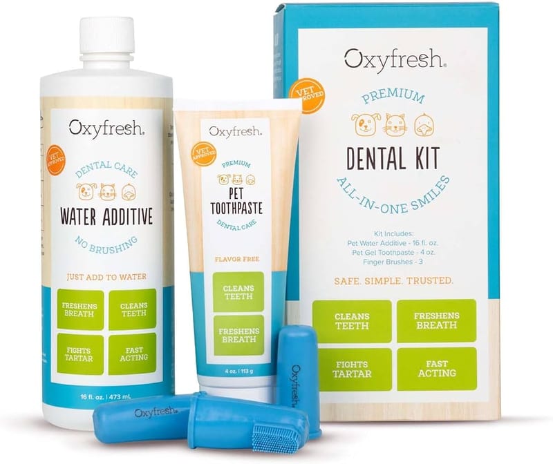 Oxyfresh Toothpaste Kit 4oz professional product photo ready to upload to shopify