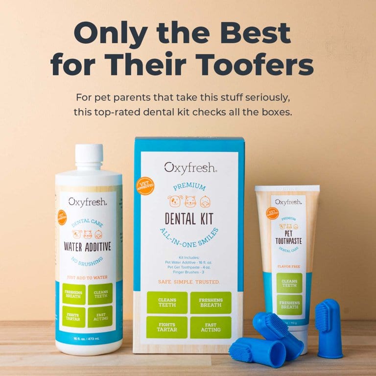 Oxyfresh Toothpaste Kit 4oz professional product photo ready to upload to shopify