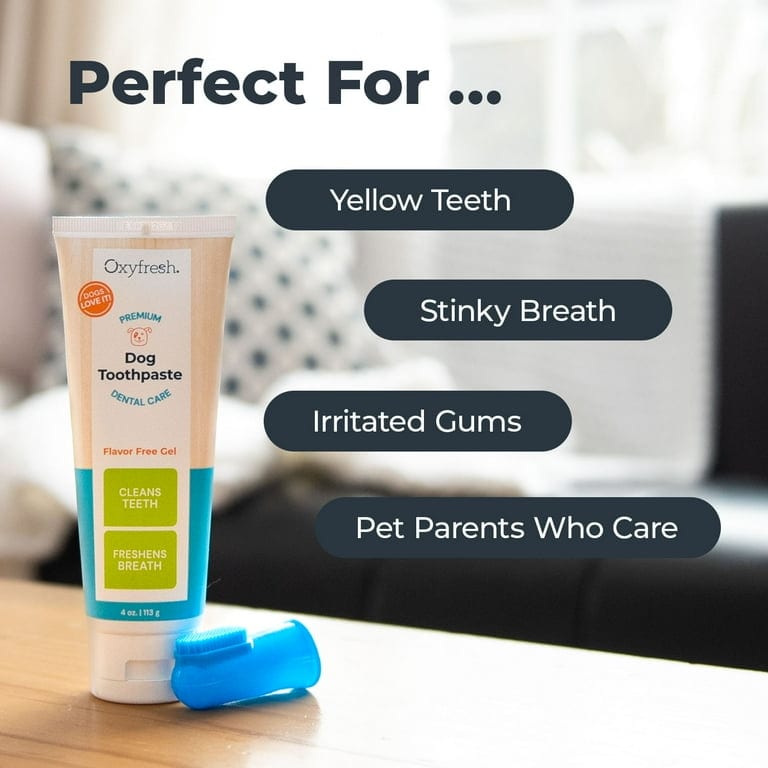 Oxyfresh Toothpaste Kit 4oz professional product photo ready to upload to shopify