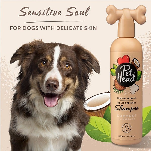 Pet Head Sensitive Soul Shampoo 300ml professional product photo ready to upload to shopify