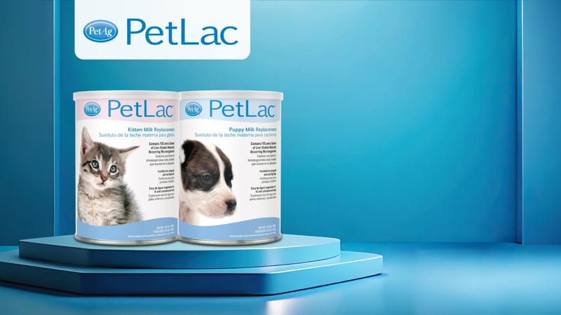 PetLac Kitten Milk Replacement Liquid - 32oz professional product photo ready to upload to shopify
