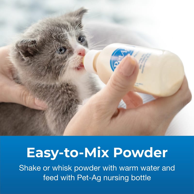 Petlac Kitten Milk Replacement Powder 10.5oz professional product photo ready to upload to shopify