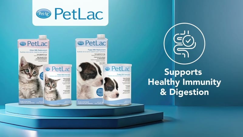 Petlac Kitten Milk Replacement Powder 10.5oz professional product photo ready to upload to shopify