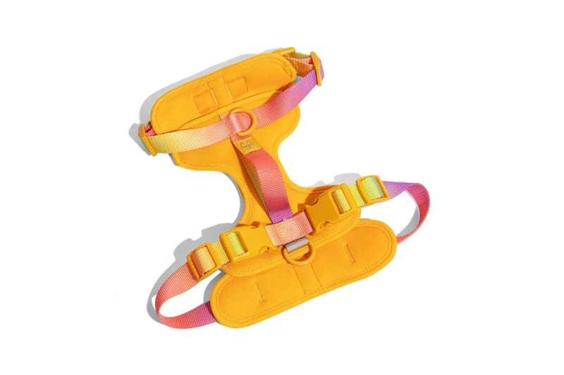 Pink Papyrus Adjustable No Pull Dog Harness professional product photo ready to upload to shopify