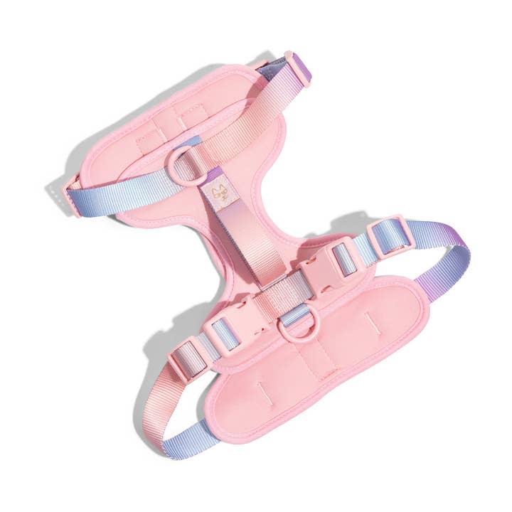 Pink Papyrus Adjustable No Pull Dog Harness professional product photo ready to upload to shopify