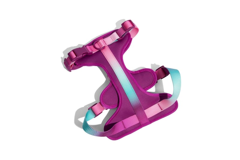 Pink Papyrus Adjustable No Pull Dog Harness professional product photo ready to upload to shopify