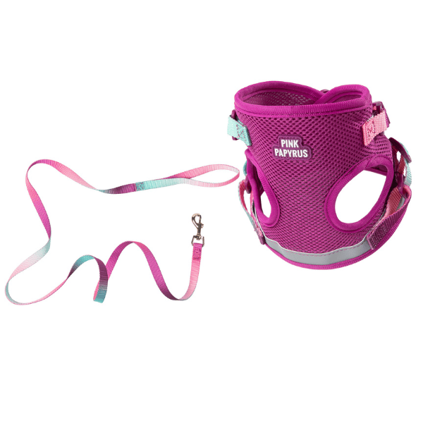 PINK PAPYRUS Cat Adjustable Harness & Leash Set professional product photo ready to upload to shopify