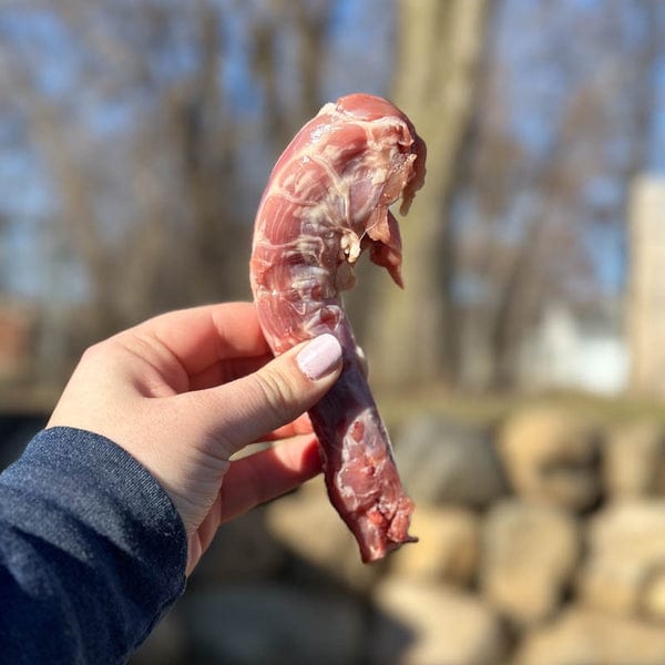 RAWR Dog Frozen Duck Neck professional product photo ready to upload to shopify