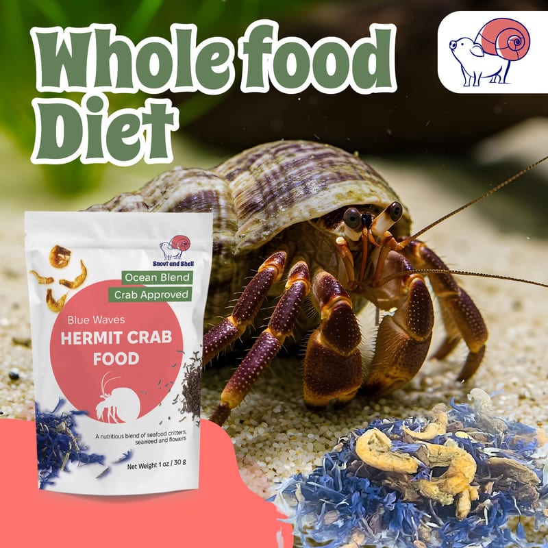 Snout and Shell Hermit Crab Food professional product photo ready to upload to shopify