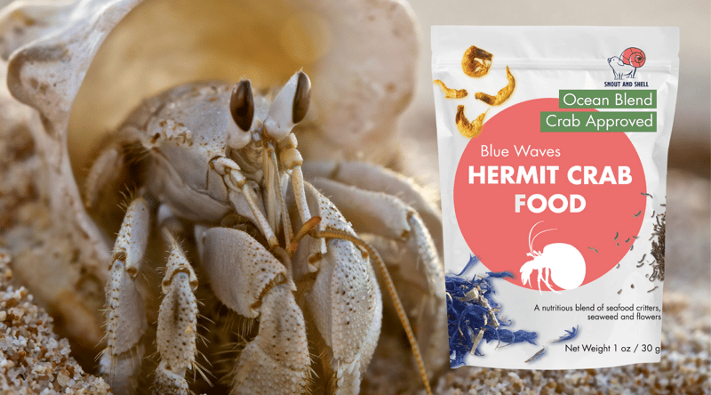 Snout and Shell Hermit Crab Food professional product photo ready to upload to shopify