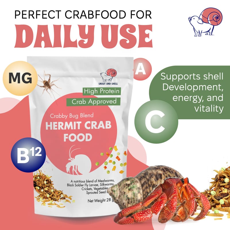 Snout and Shell Hermit Crab Food - Protein Mix professional product photo ready to upload to shopify
