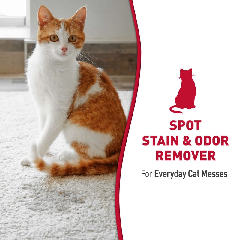 Stain & Odor Remover for Cats Citrus Scent 128 Fl Oz professional product photo ready to upload to shopify