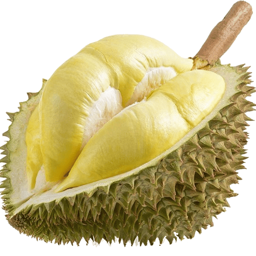 Thai Crown Frozen Whole Monthong Durian professional product photo ready to upload to shopify