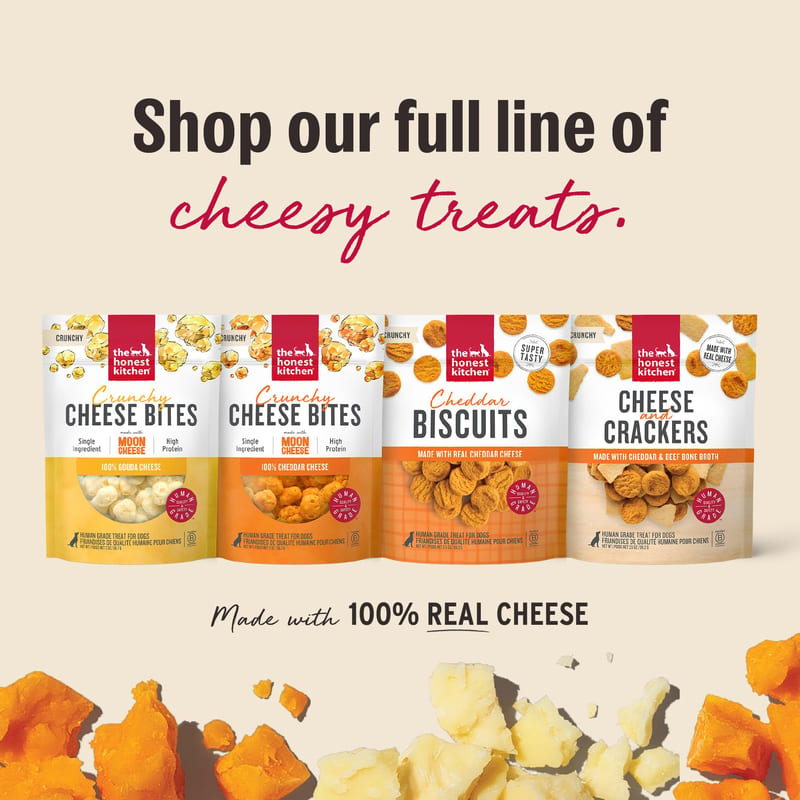 THE HONEST KITCHEN Cheddar Biscuits Dog Treats professional product photo ready to upload to shopify