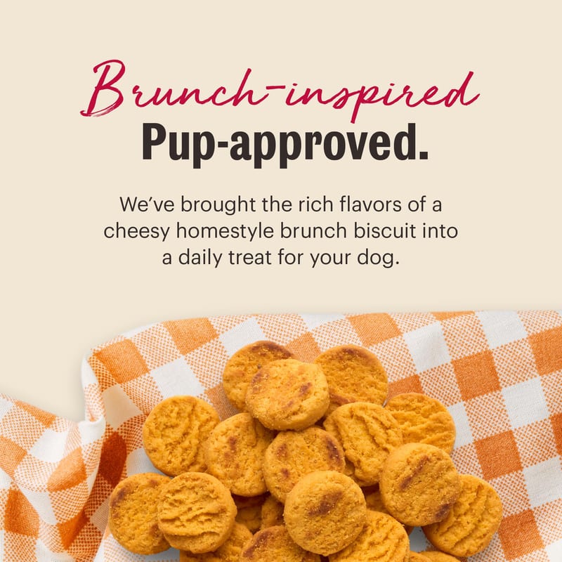THE HONEST KITCHEN Cheddar Biscuits Dog Treats professional product photo ready to upload to shopify