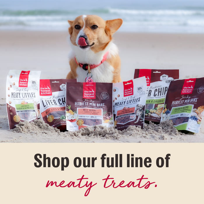 THE HONEST KITCHEN Dog Chicken & Salmon Meaty Littles Treats 4 oz professional product photo ready to upload to shopify