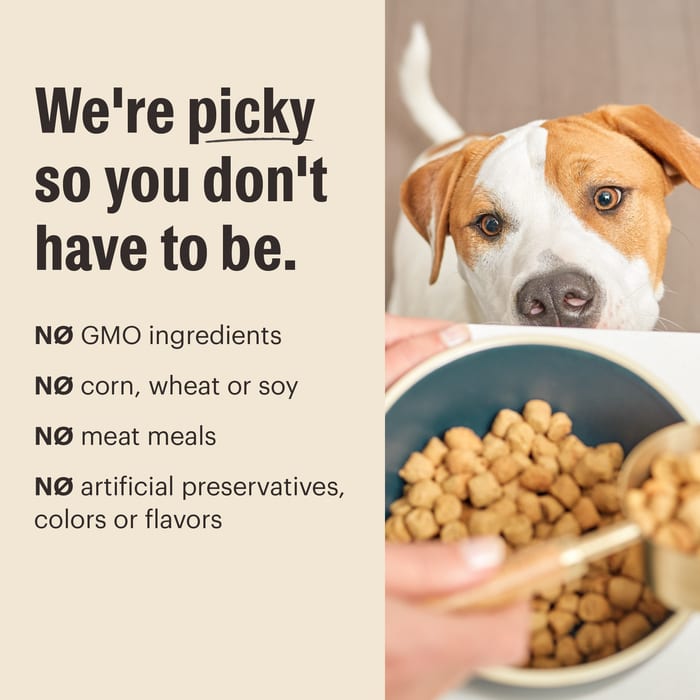 THE HONEST KITCHEN Grain Free Lamb Whole Food Clusters Kibble 4 lb professional product photo ready to upload to shopify