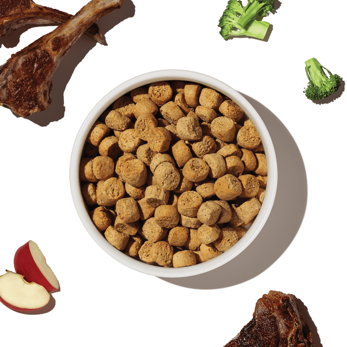 THE HONEST KITCHEN Grain Free Lamb Whole Food Clusters Kibble 4 lb professional product photo ready to upload to shopify