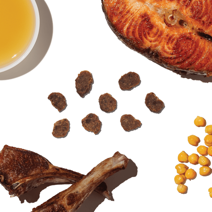 THE HONEST KITCHEN Dog Lamb & Salmon Puppy Meaty Littles Treats 4 oz professional product photo ready to upload to shopify