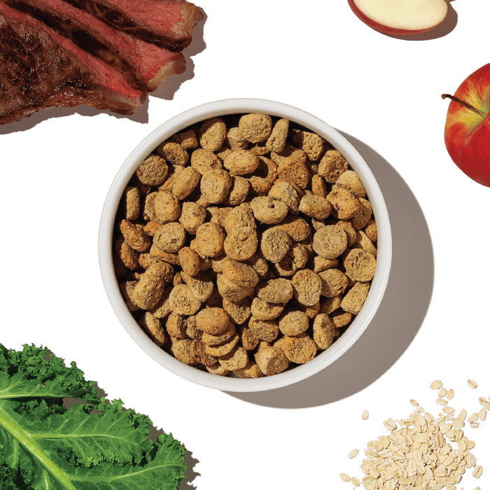 The Honest Kitchen Whole Grain Beef & Oat Whole Food Clusters Kibble 5 lb professional product photo ready to upload to shopify