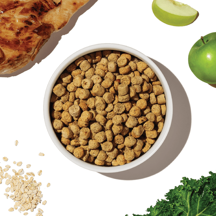 THE HONEST KITCHEN Dog Whole Grain Chicken Whole Food Clusters Kibble for Small Breed 4 lb professional product photo ready to upload to shopify