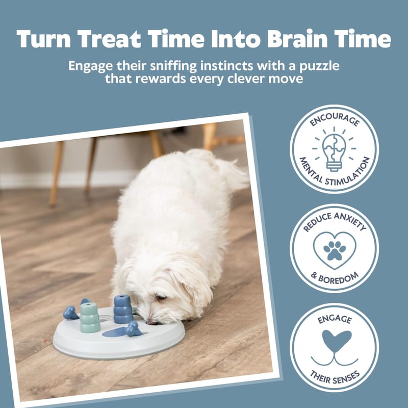 TRIXIE Dog Activity Flip Bone professional product photo ready to upload to shopify