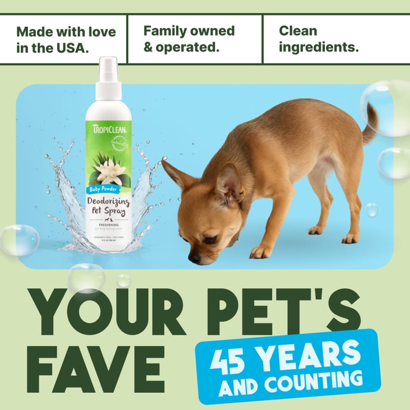 TROPICLEAN Dogs & Cats Baby Powder Deodorizing Spray 8 oz professional product photo ready to upload to shopify