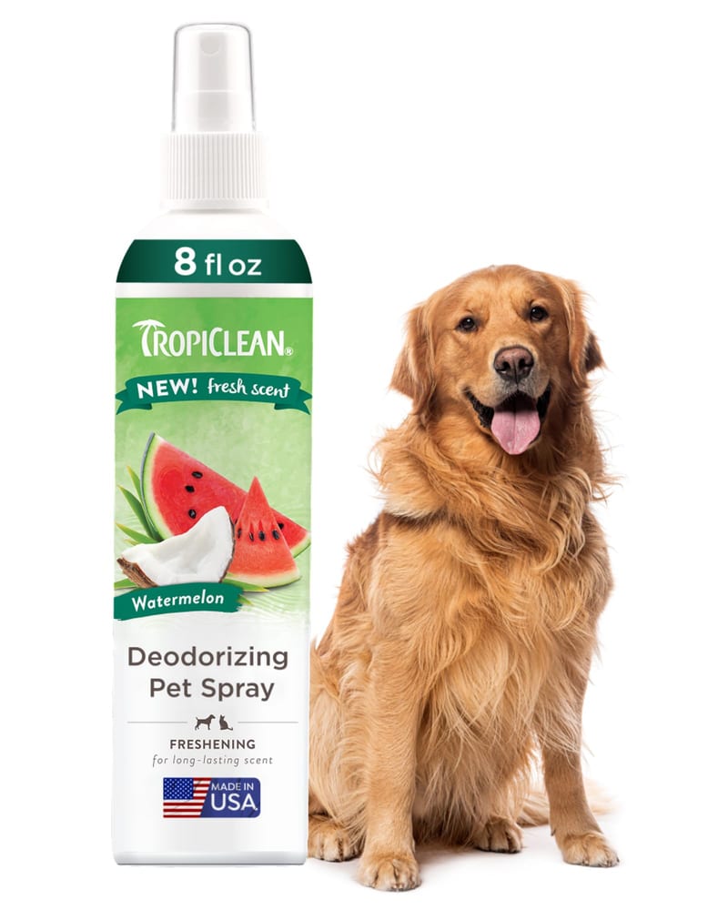 TROPICLEAN Dogs & Cats Watermelon Deodorizing Spray 8 oz professional product photo ready to upload to shopify