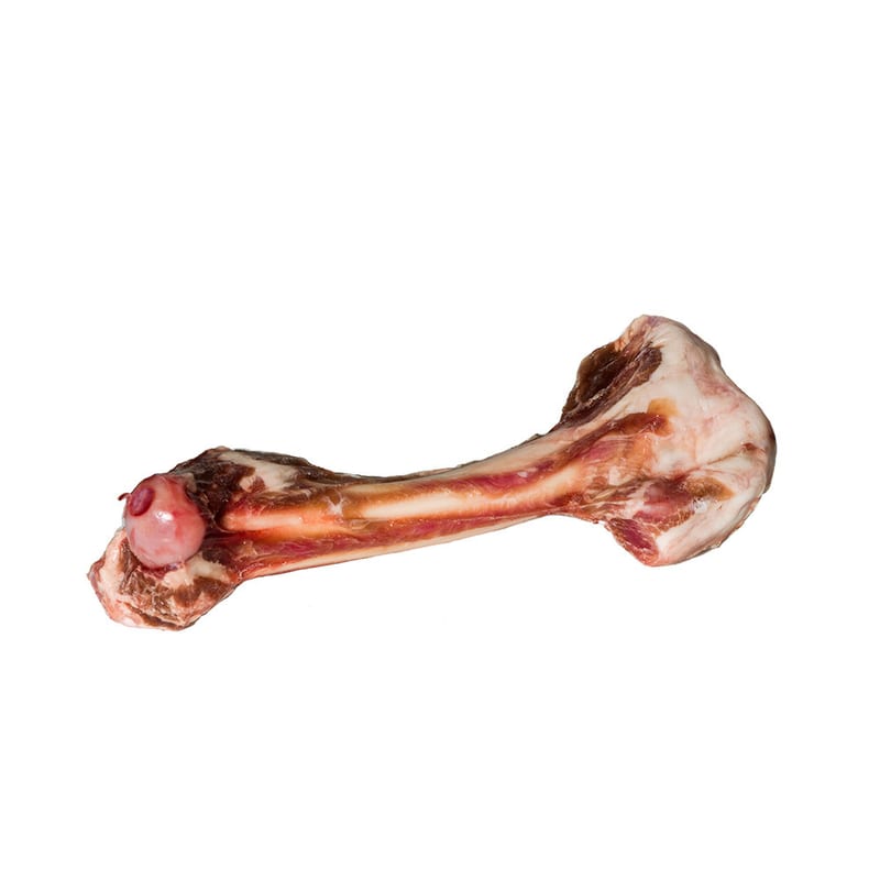 TUCKER'S Dog Frozen Lamb Bone Femur professional product photo ready to upload to shopify