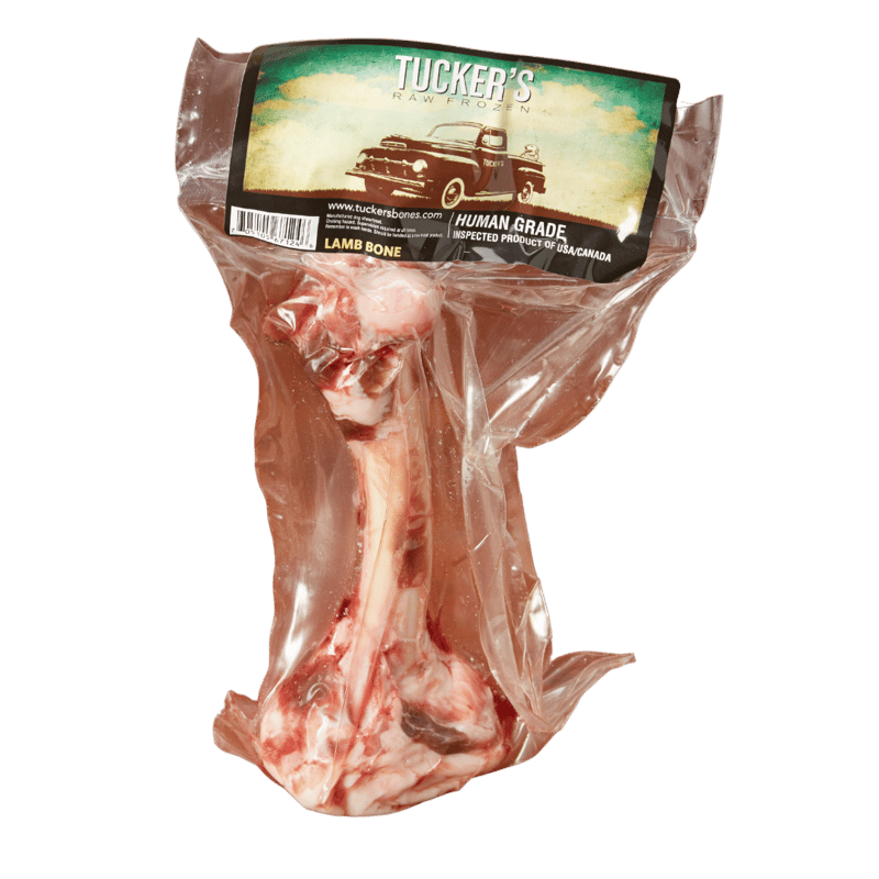 TUCKER'S Dog Frozen Lamb Bone Femur professional product photo ready to upload to shopify