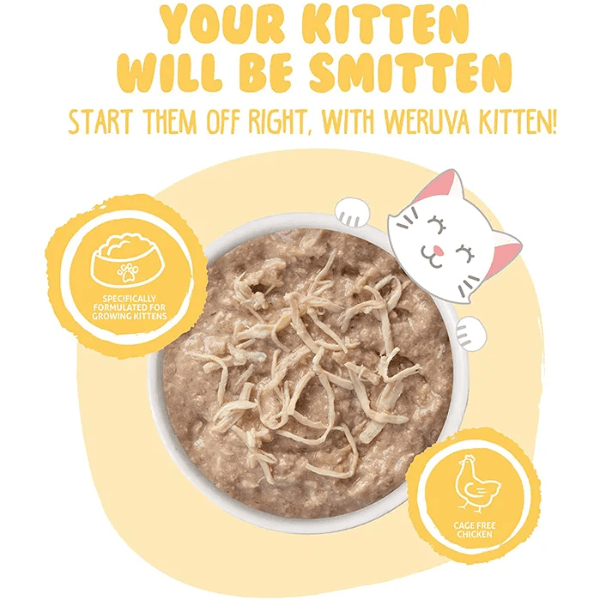 WERUVA Cat Kitten Chicken Formula Au Jus 3 oz professional product photo ready to upload to shopify