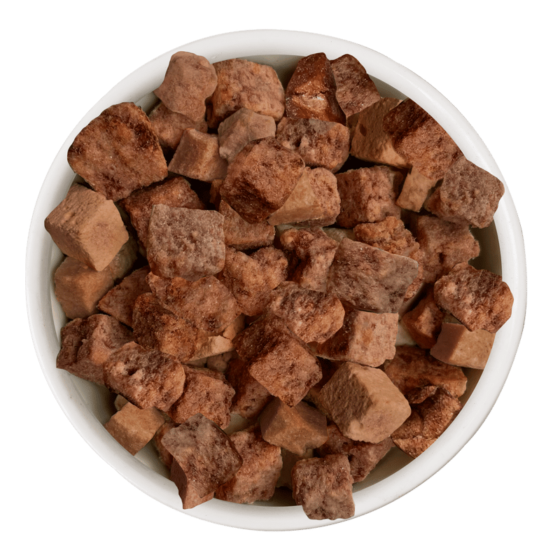 WERUVA Cat Mideast Feast 10oz professional product photo ready to upload to shopify
