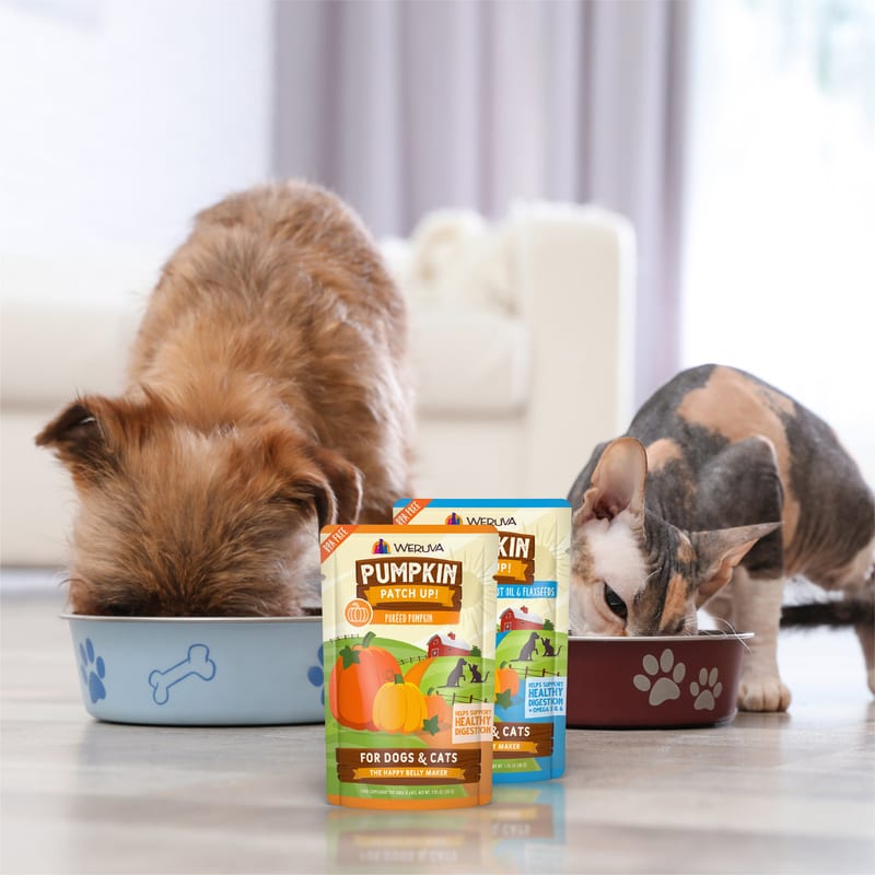 WERUVA Pumpkin Patch Dog and Cat Food 2.8oz Pouch professional product photo ready to upload to shopify