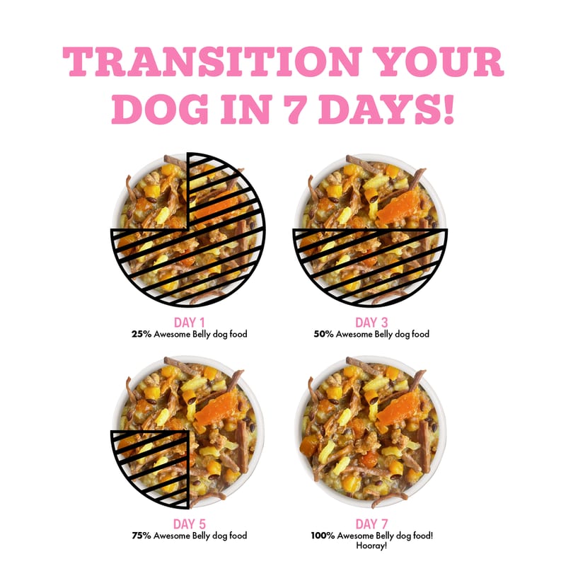 WERUVA Dog Belly Beef & Rice 6oz professional product photo ready to upload to shopify