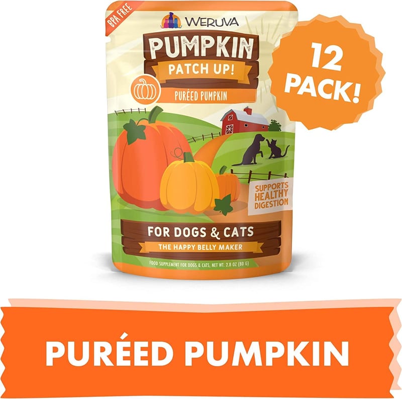 WERUVA Dog Cat Pumpkin Ginger 2.8oz professional product photo ready to upload to shopify