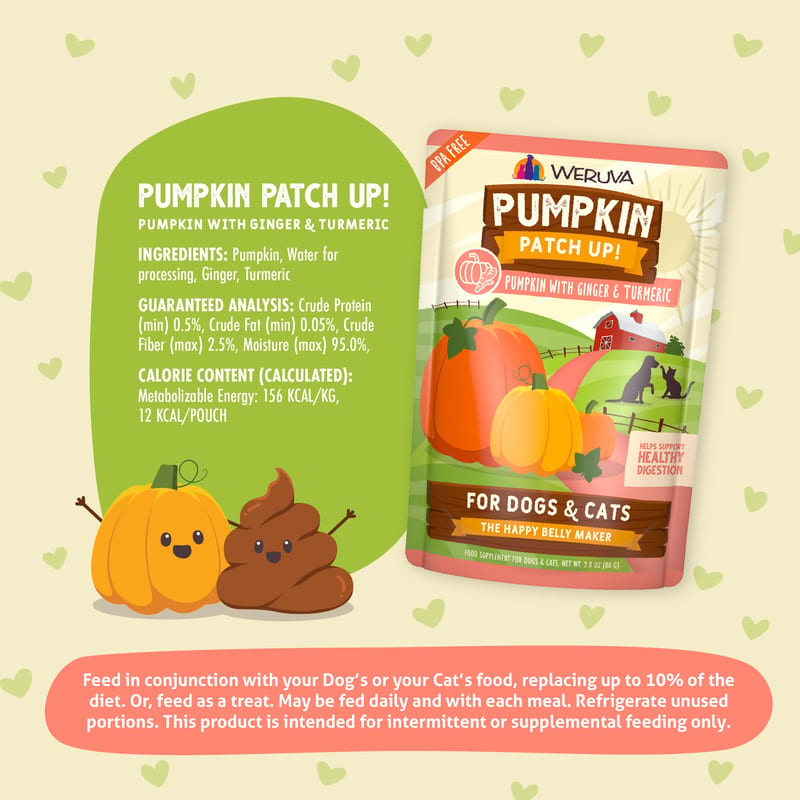 WERUVA Dog Cat Pumpkin Ginger 2.8oz professional product photo ready to upload to shopify
